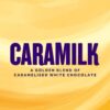 153145_8 Cadbury Caramilk Large Chocolate Block 315g