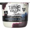 167330_1 Tamar Valley The Creamery Greek Style Yoghurt Blueberries & Cream 170g