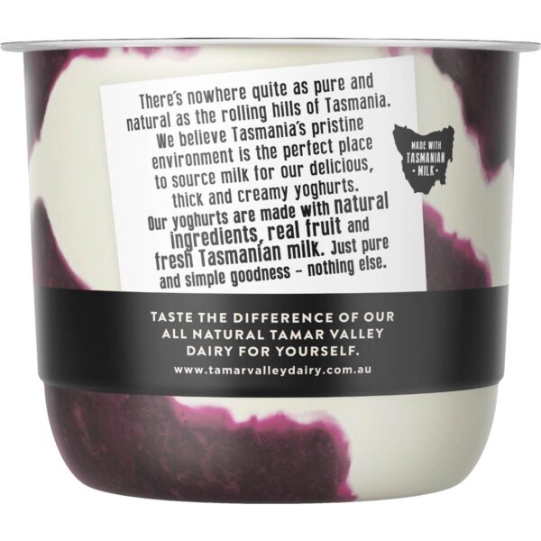 167330_4 Tamar Valley The Creamery Greek Style Yoghurt Blueberries & Cream 170g