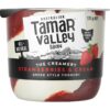 167552_1 Tamar Valley Dairy Yoghurt Strawberry & Cream 170g