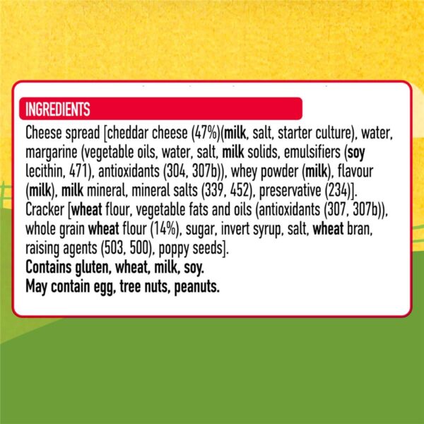 248197_8 Uncle Tobys Le Snak Tasty Cheese Dip & Crackers 12 pack