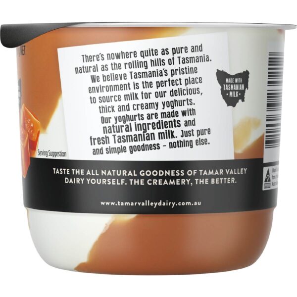6038994_4 Tamar Valley Dairy Yoghurt Salted Caramel 170g