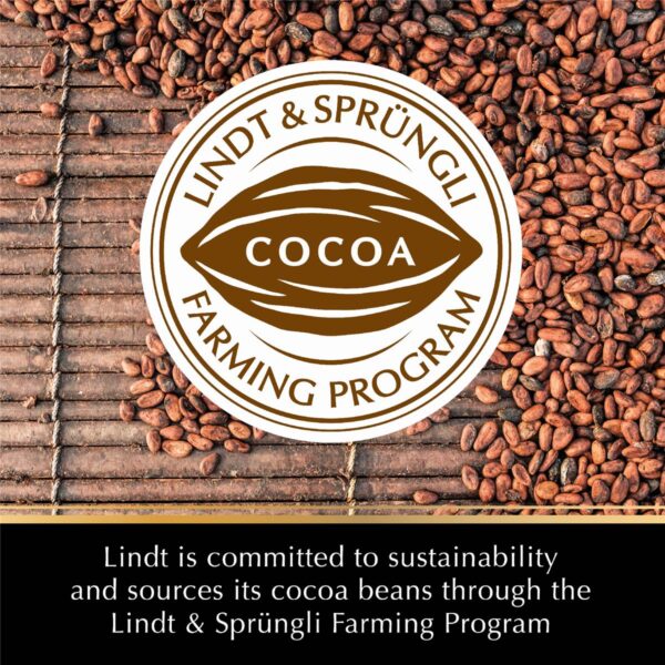 019731_10-1 Lindt Excellence Dark Chocolate 70% Cocoa Block 100g