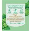 058970_2 Twinings Pure Peppermint Tea Bags Tea Bags 10 pack