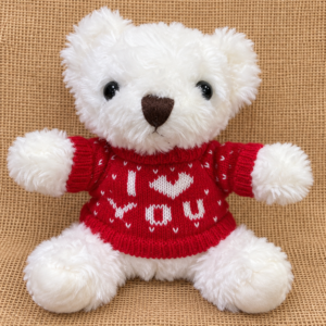 Valentine teddy bear