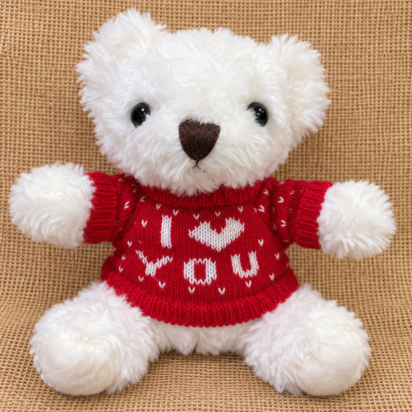 Valentine teddy bear