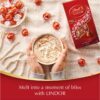 249701_10 Lindt Lindor Milk Chocolate Bag 125g