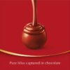 249701_8 Lindt Lindor Milk Chocolate Bag 125g
