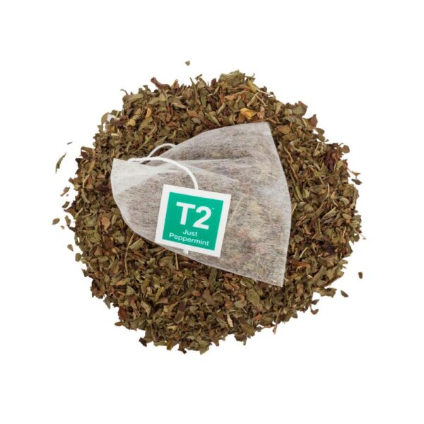 3081268_R-zm T2 Peppermint Tea Bags | 25 Pack