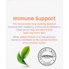 Twinings Immune Support Flavoured Infusions 8 pack