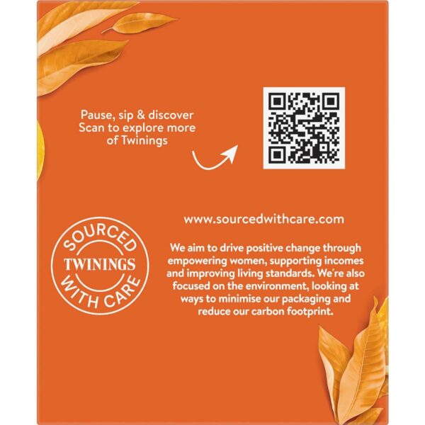 791152_3 Twinings Orange & Cinnamon Tea Bags Tea 10 pack