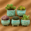 SUCCULENT PRESENT