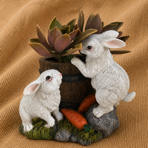 potted bunny succulent