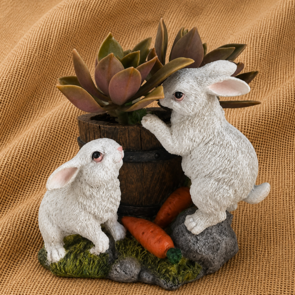 potted bunny succulent