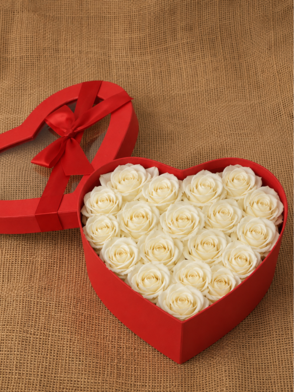 roses for valentine