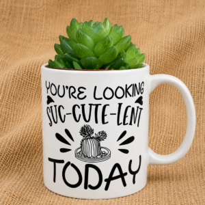 succulent gift mug
