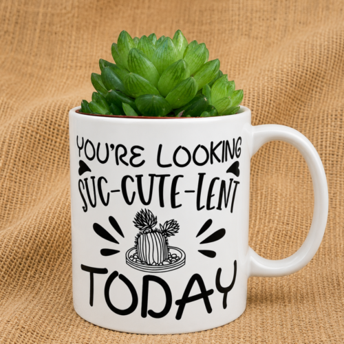 succulent gift mug