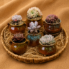 succulent presents