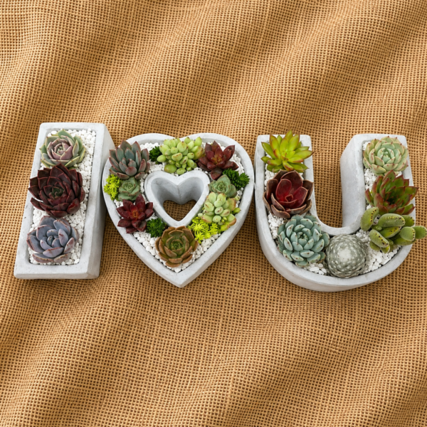 Valentine's Day Gift